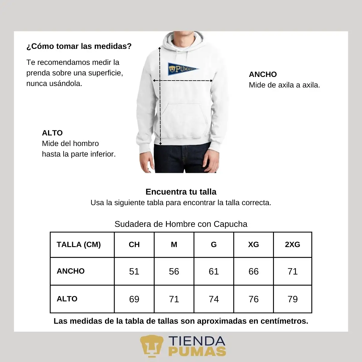 Sudadera Hombre Hoodie Pumas UNAM Banderín