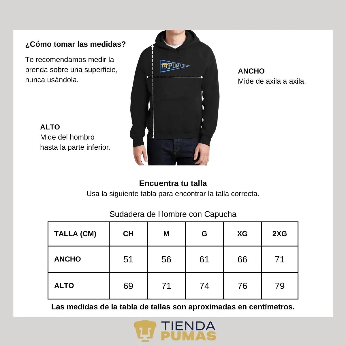 Sudadera Hombre Hoodie Pumas UNAM Banderín