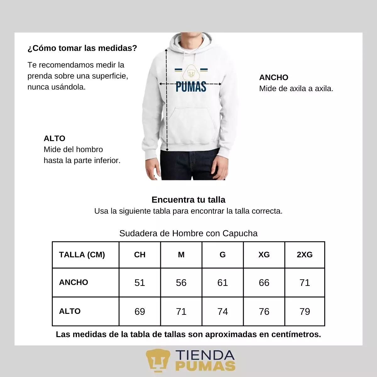 Sudadera Hombre Hoodie Pumas UNAM Insignia