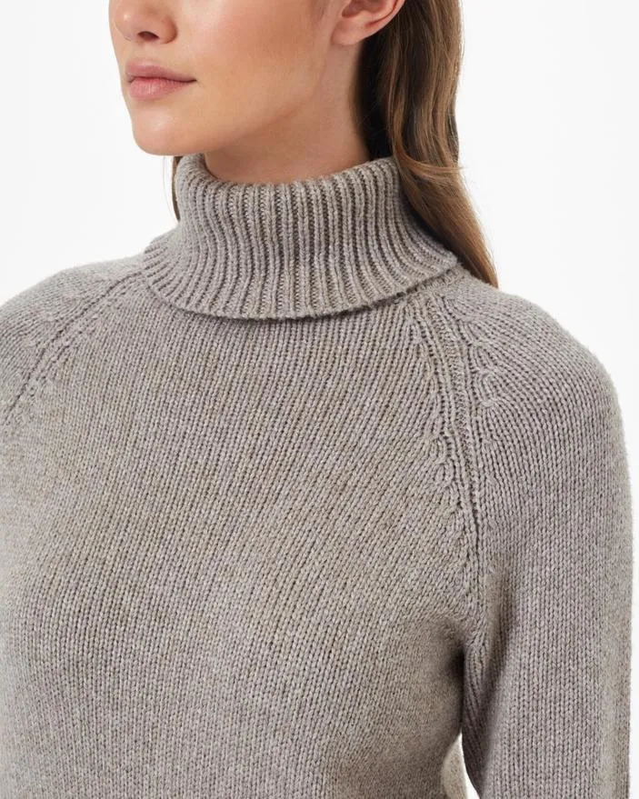 Tentree Highline Wool Turtleneck Sweater in Taupe